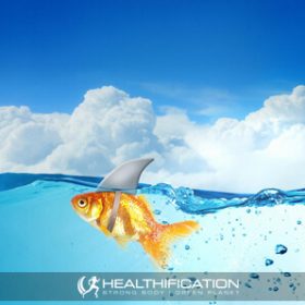 Month In Review PLUS The Health Benefits Of Fish Myth