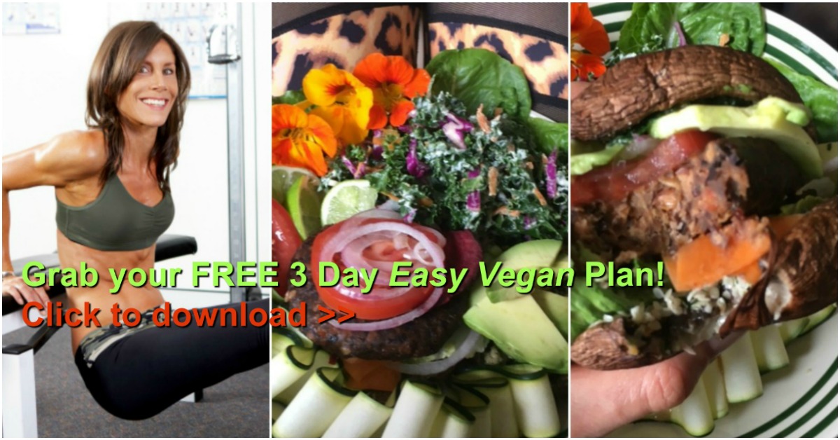 3 Day Easy Vegan Plan