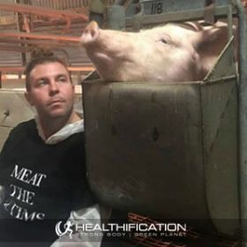 Behind the scenes of animal rights activism with Ben Johnstone