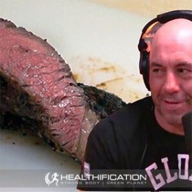 Why Joe Rogan Will Become Vegan (Busting The Meathead Myths)