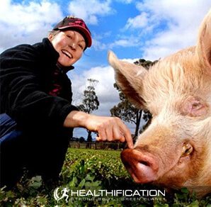 Pam Ahern from Edgars Mission Farm Sanctuary Is Creating A Kinder World For Farmed Animals.