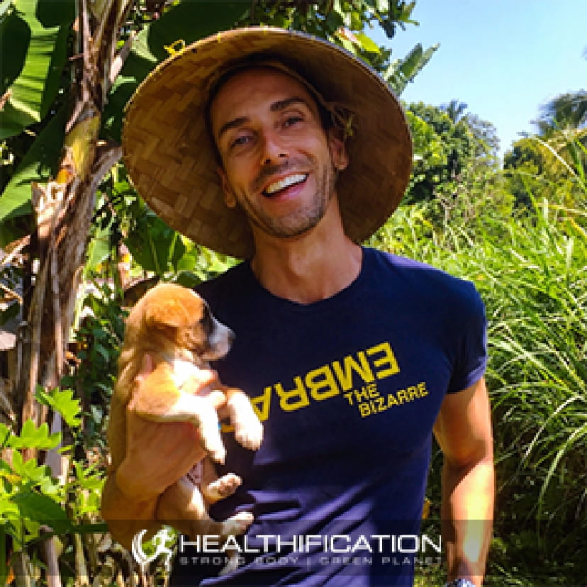 Travel As A Vegan with Todd Sinclair Sustainable, Rebel Vegan Life